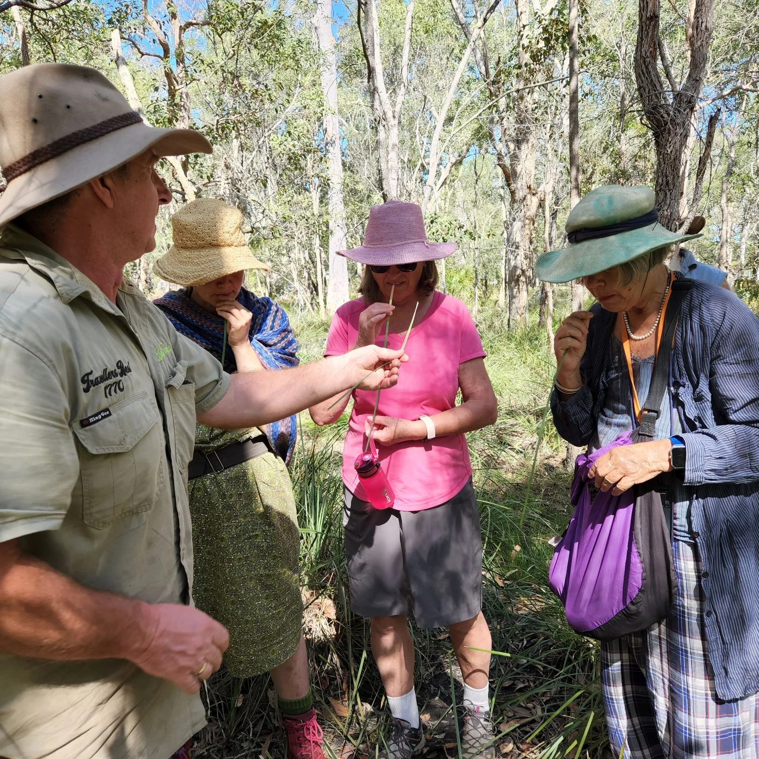 bush tracks & 1770 headland tour 4